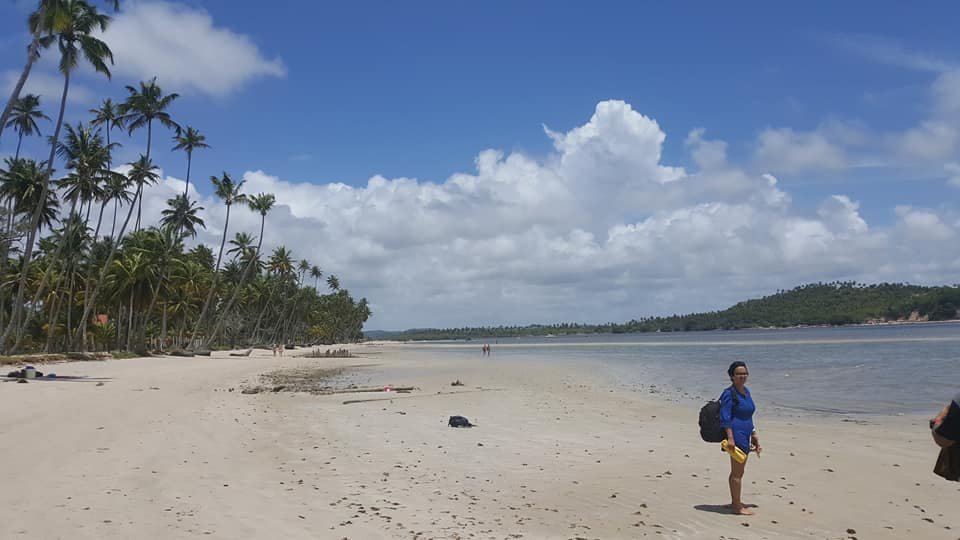Plage paradisiaque du Brésil