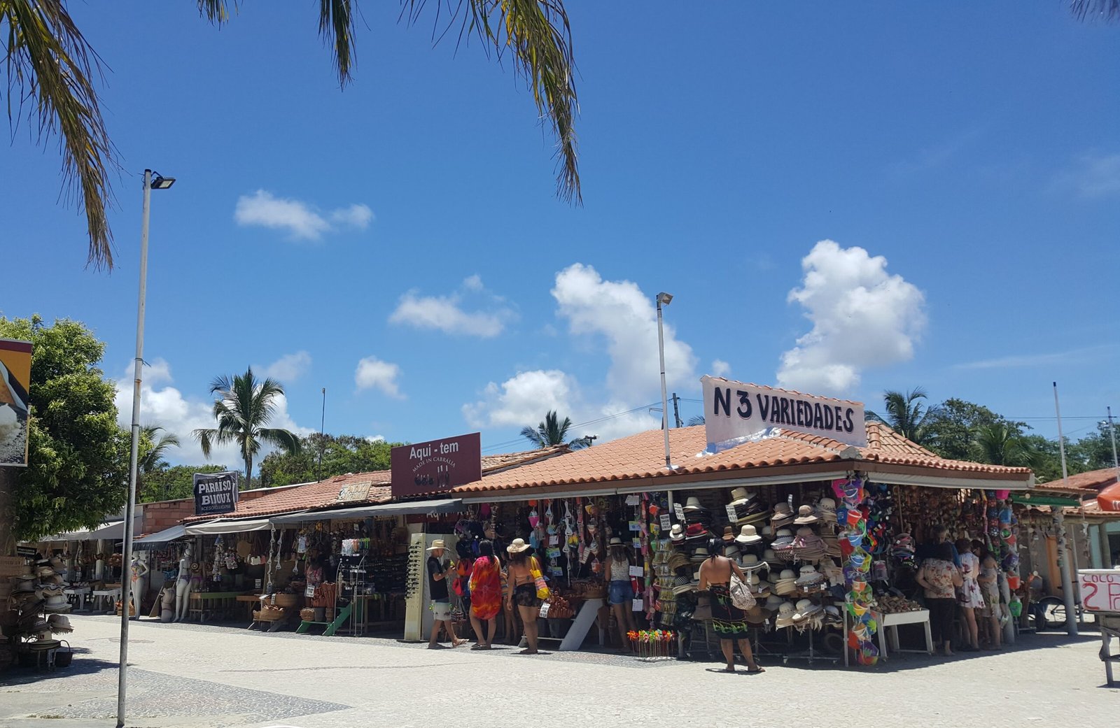 Végétation tropicale