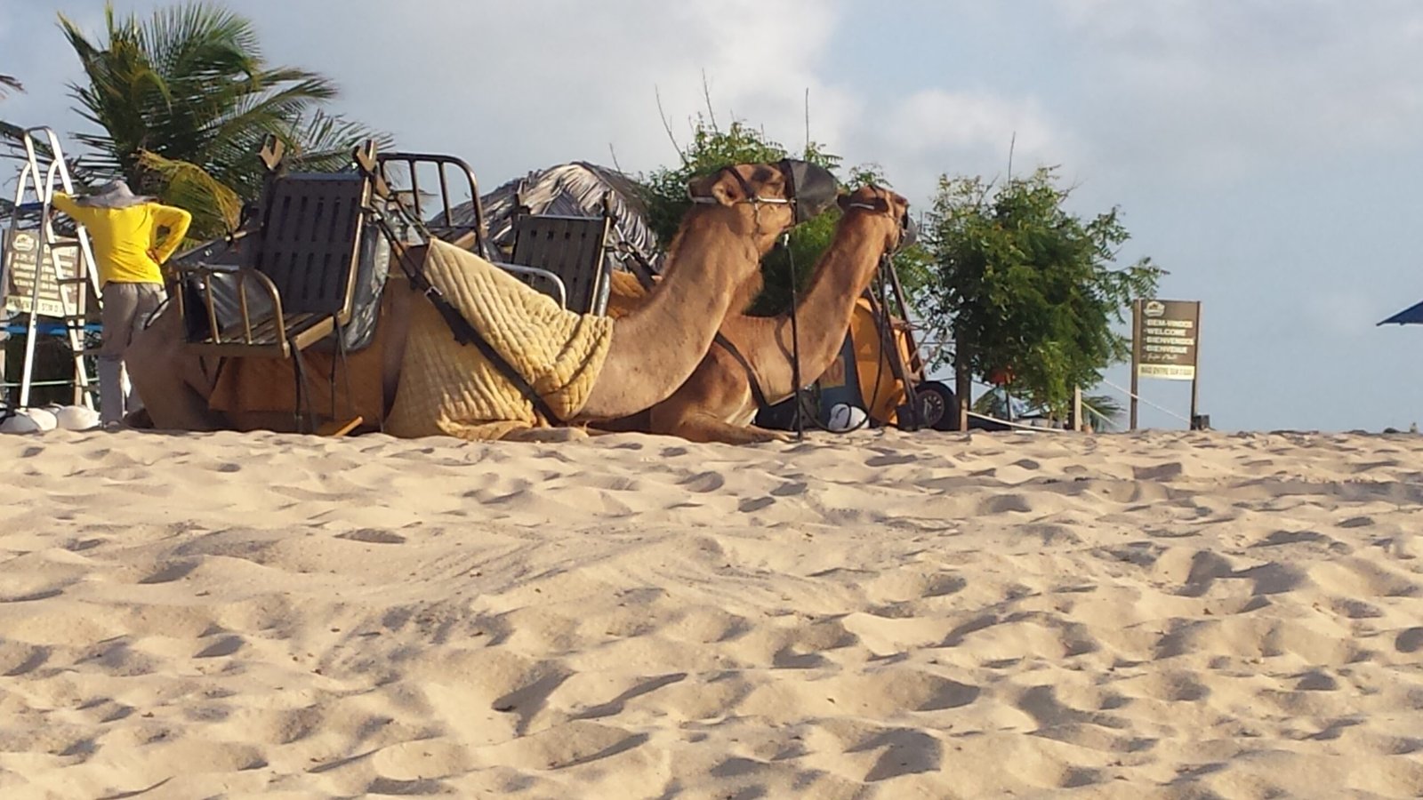 Dunas de Genipabu