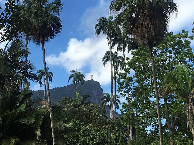 nature du Brésil