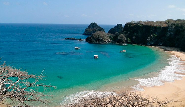 nature du Brésil