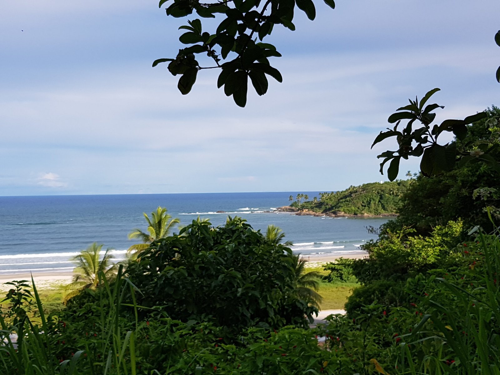 Plage tropicale dans la région d’Ilhéus