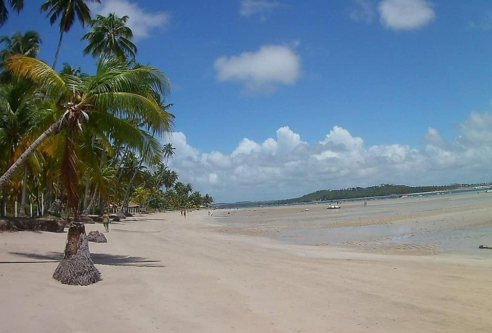 Paysage tropical du Brésil